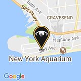Surf Avenue (Brooklyn, NY 11224)