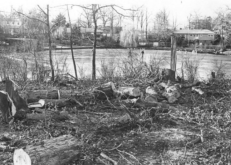 A section of the building site where workmen cut down dozens of trees to make way for two homes, planned on the edge of Jack's Pond on Ramble Rd. in Great Kills.