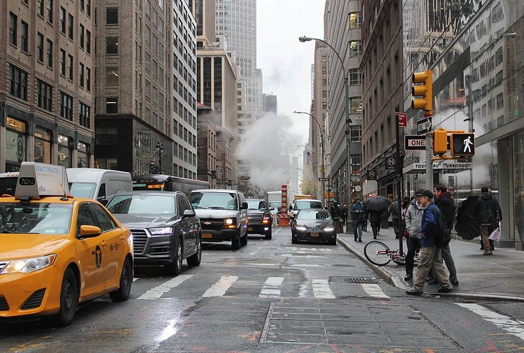 Chapter 1. (S)he adored New York City.