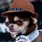A brown fedora is perfect for the rough-and-tough dog who still wants to look adorable.