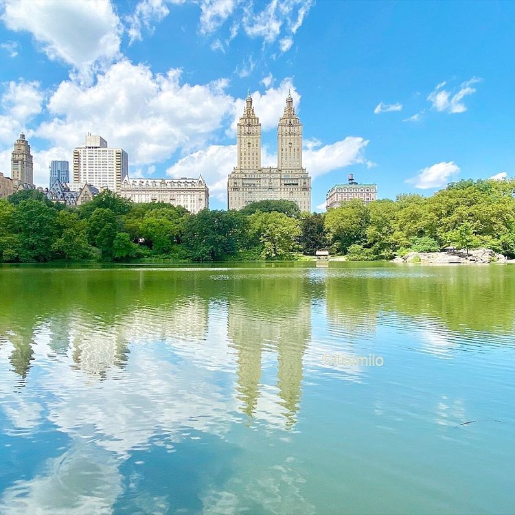 Central Park Lake, Central Park, Manhattan