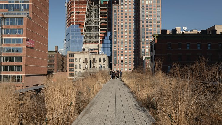 Looming (13/365) | New construction for the Hudson Railyards and other apartment buildings are springing up around the High Line.