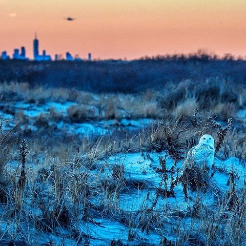Jones Beach State Park, New York