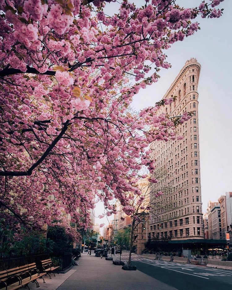Madison Square Park and Flatiron Building, Manhattan