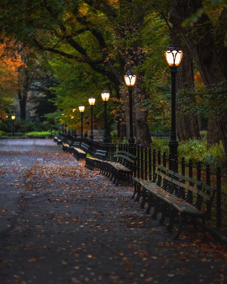 The Mall in Central Park, Manhattan