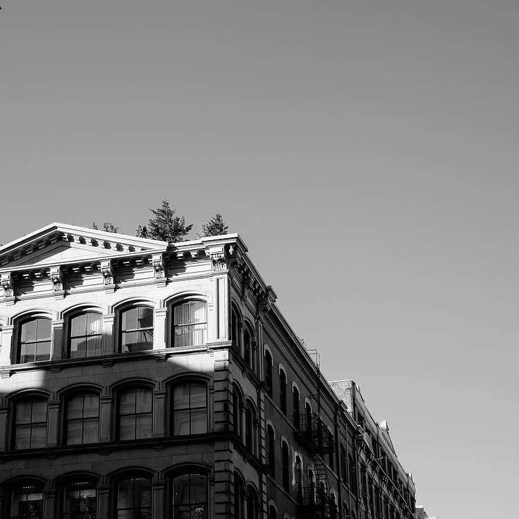 Up There⠀
-Prints & Story in Bio Link-⠀
.⠀
.⠀
.⠀
#minimalist #architecture #cityscape #streetphotography #streettogs #urbanlandscape #noir #monochrome #blackandwhite #contrast #shootfilm #chasinglight #street_photo_club #mafia_streetlove #streetdreamsmag #what_i_saw_in_nyc #sdmtravels #IloveNY #InstagramNYC #lensculture #VSCOcam #street_photo_club #bnw_life #bnw_society #bnw_captures #streetphotography_bw #bnwmood #sdmtravels #fujifeed #lensculture