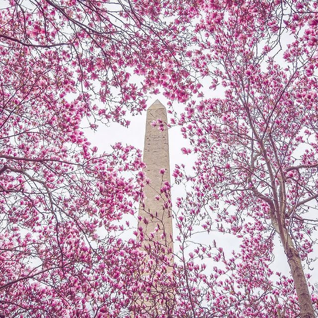 Cleopatra's Needle, Central Park, Manhattan