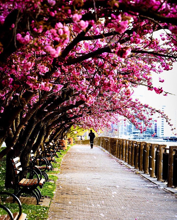 Roosevelt Island, Manhattan