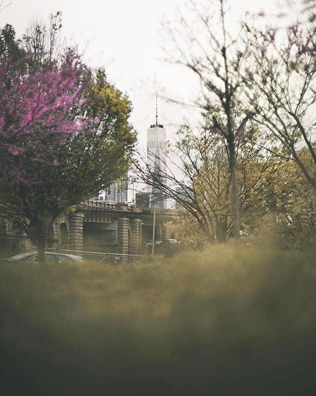 Photo. Is @arin.nyc 
#viewingnyc