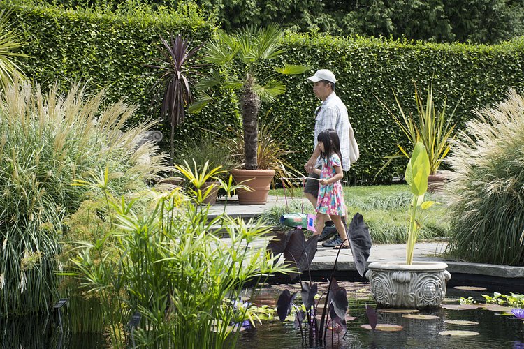 Wave Hill | Photo: Brent Terry for The Bronx Bohemian / Viewing NYC