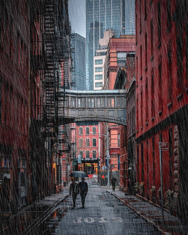 Staple Street Bridge, Tribeca, New York