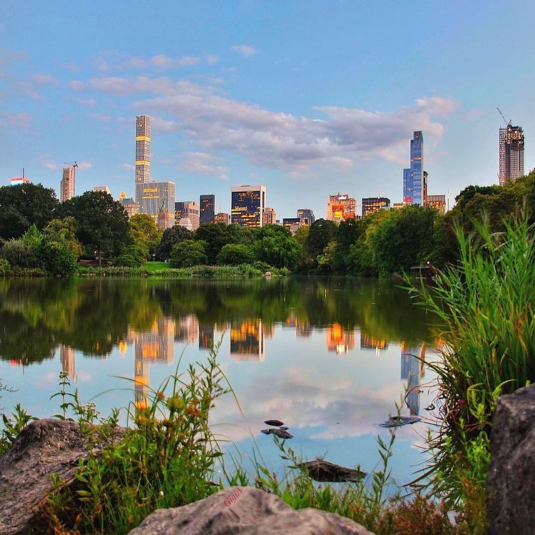 The Lake in Central Park, New York City