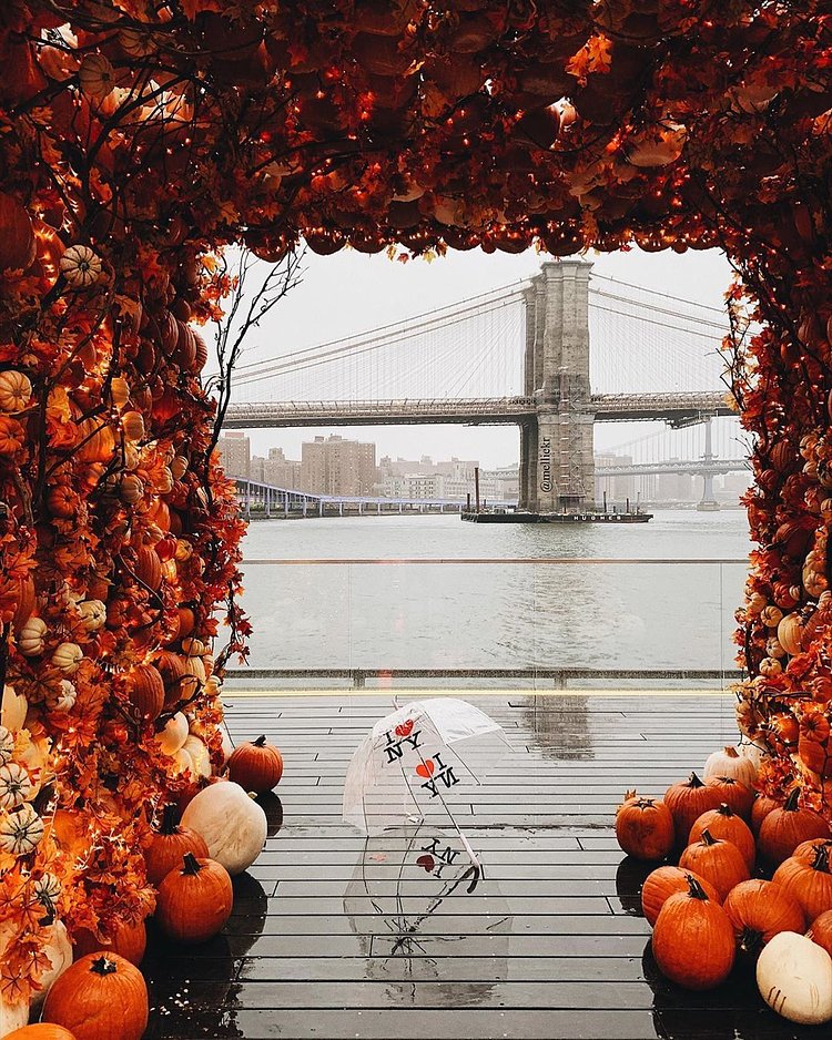 Pumpkin Bridge, Seaport, Manhattan