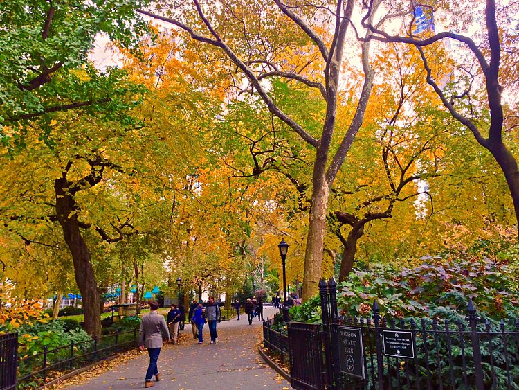 Madison Square Park