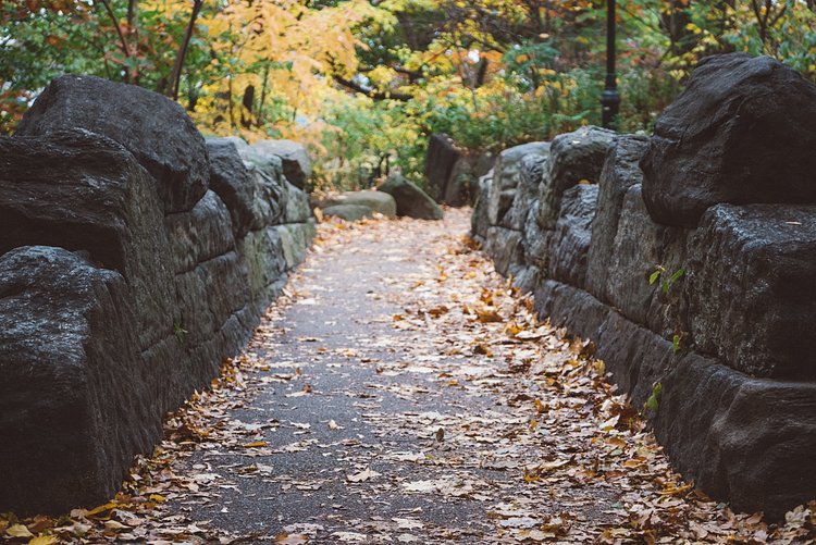 Autumn in Central Park