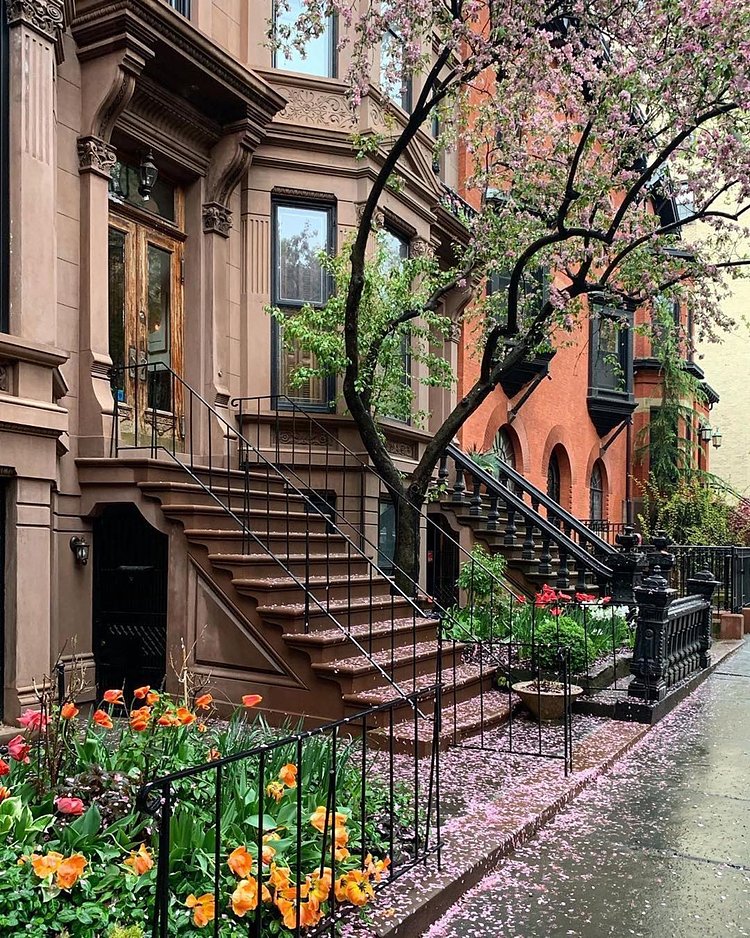 Park Slope, Brooklyn. Photo via @madufault #viewingnyc #nyc #newyork #newyorkcity #flowers