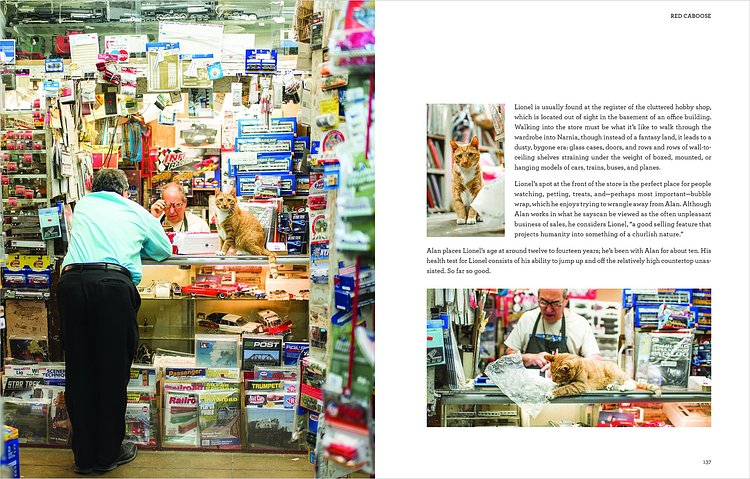 Shop Cats of New York