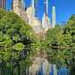 The Pond, Central Park, Manhattan
