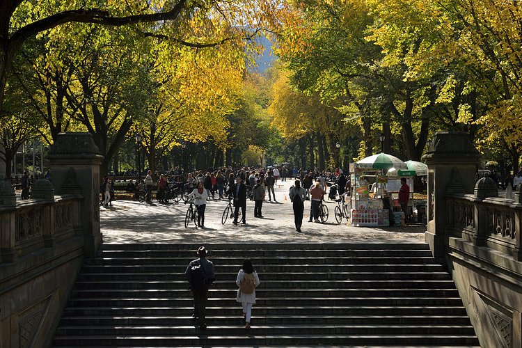 Steps | To the Central Park Mall.