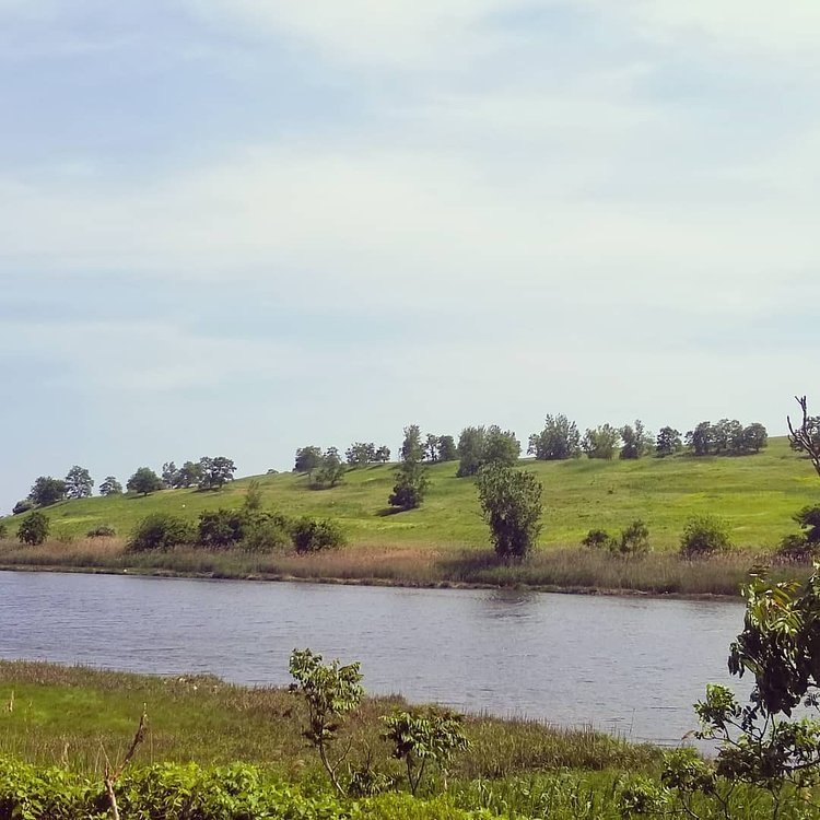 Freshkills Park, Staten Island