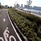 Cycling through Hunter's Point South Park in Long Island City, Queens, NYC