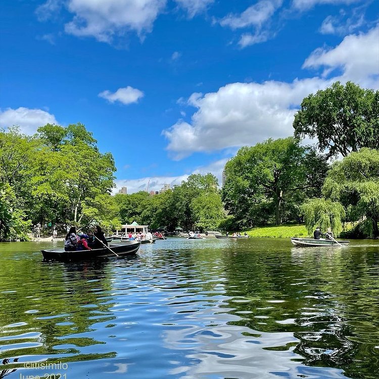 The Lake, Central Park, Manhattan