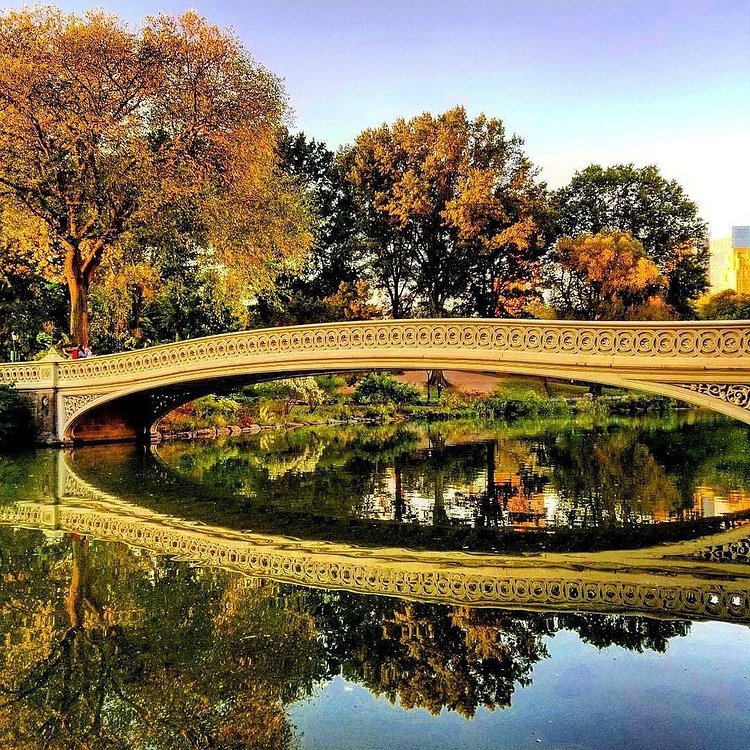 Central Park, New York. Photo via @qwqw7575 #viewingnyc #newyorkcity #newyork #nyc