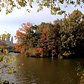 Walking Tour of Central Park, NYC during Autumn / Fall from 59th - 110th Streets