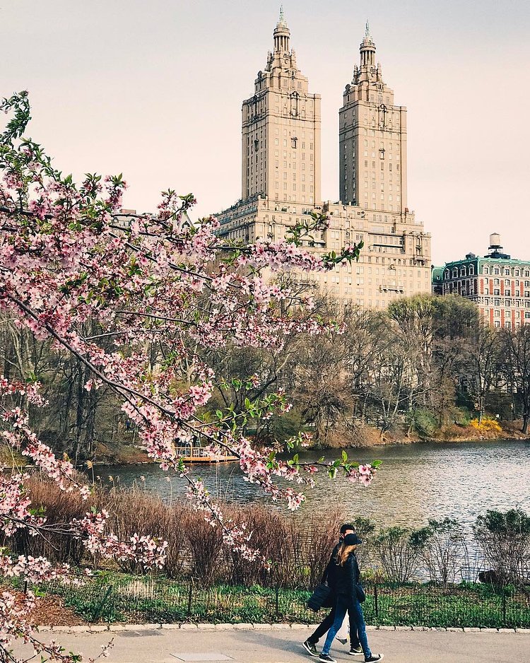 Morning stroll 👫🌸