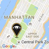 Live at the BBQ (Central Park, New York, NY)