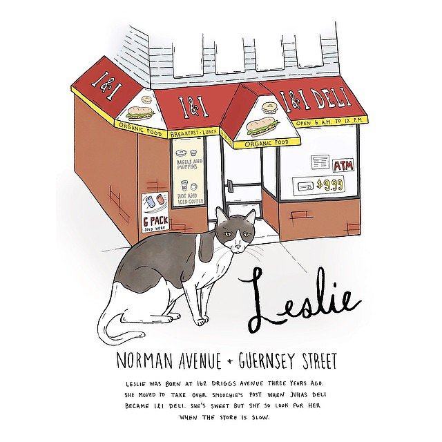 Leslie // Greenpoint 
#brooklynbodegacats #bodegacats #bodegacatsofinstagram #brooklyn #greenpoint #illustration #catsofinstagram