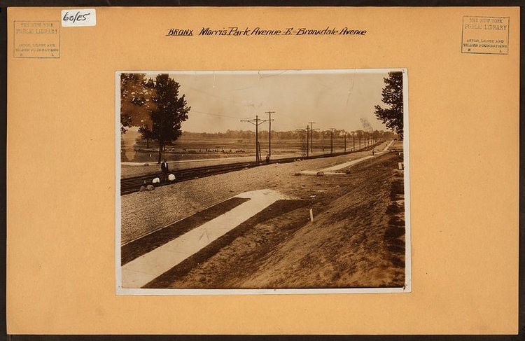 Bronx: Morris Park Avenue – Bronxdale Avenue