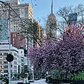 Madison Square Park, Flatiron District, Manhattan