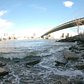 Visiting Dumbo  - Randy Scott Slavin 360