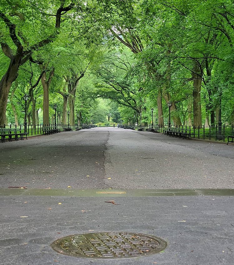 The Mall in Central Park, Manhattan
