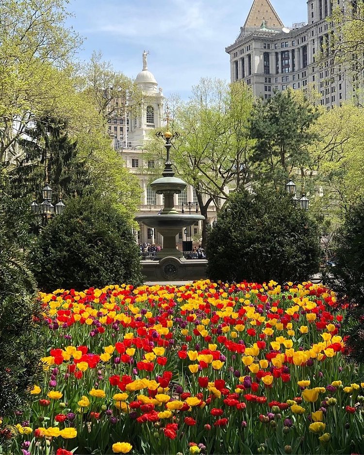 City Hall Park, Manhattan. Photo via @dicasnovayork #viewingnyc #nyc #newyork #newyorkcity