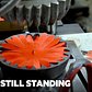 How The Last Artificial Flower Factory In NYC Handcrafts Designs For Celebrities | Still Standing
