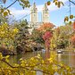 Central Park Lake, New York. Photo via @newyorkcitykopp #newyorkcity #newyork #nyc #viewingnyc