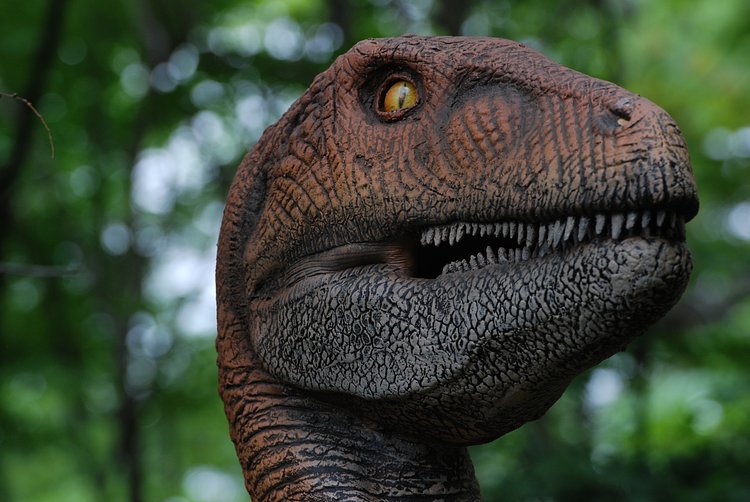 Dinosaur Safari @ The Bronx Zoo