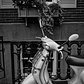 Vespa in Greenwich Village