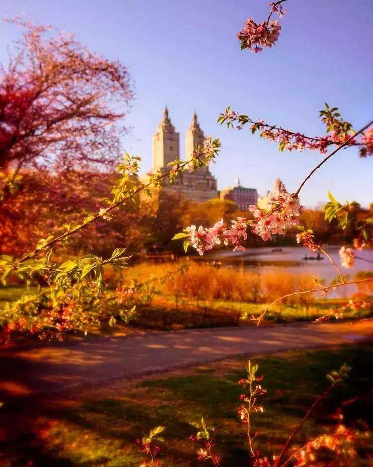 Central Park, Manhattan