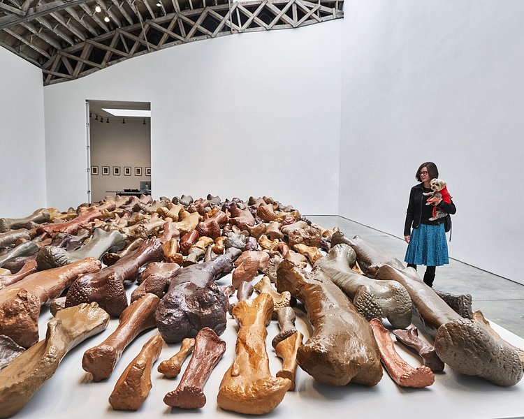 Following your nose pays off! Rocky discovered Lost Objects by artist Allan McCollum at Mary Bone... er...Boone gallery. It includes 240 cast concrete replicas of bone fossils from the Carnegie Museum of Natural History.