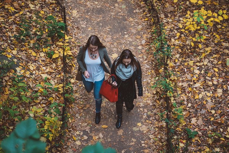 Autumn in Central Park