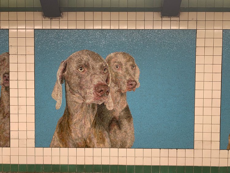 The Newly Reopened 23rd Street F/M Station Has Already Gone To The Dogs