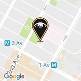 Mount Sinai Beth Israel (10 Nathan D Perlman Pl, New York, NY 10003)