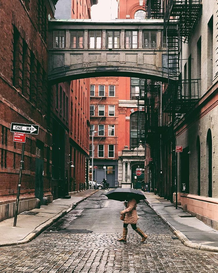 Staple Street Skybridge, Tribeca, New York, New York