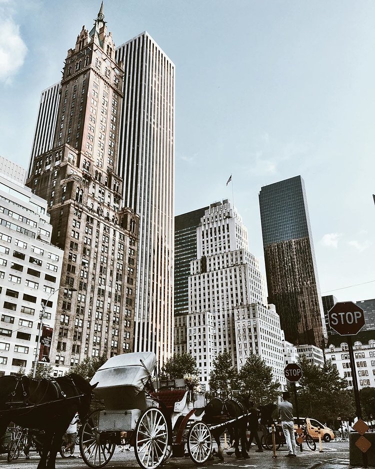 59th St and 5th Avenue, Central Park, Manhattan