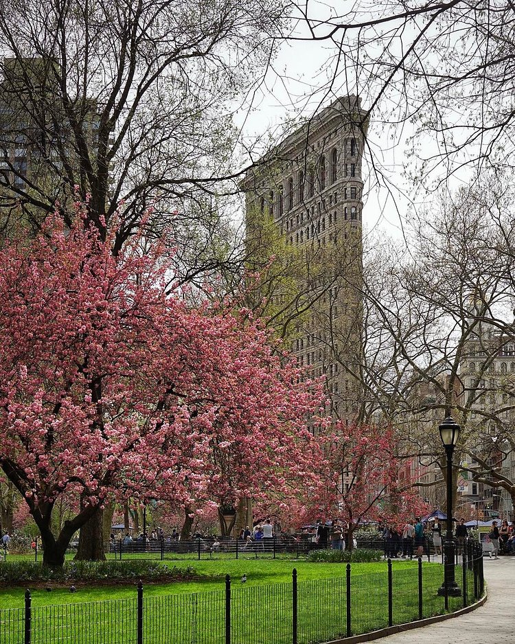 City Weather: Sunny ☀️. Currently 54°F | 12°C, high 62°F | 17°C.