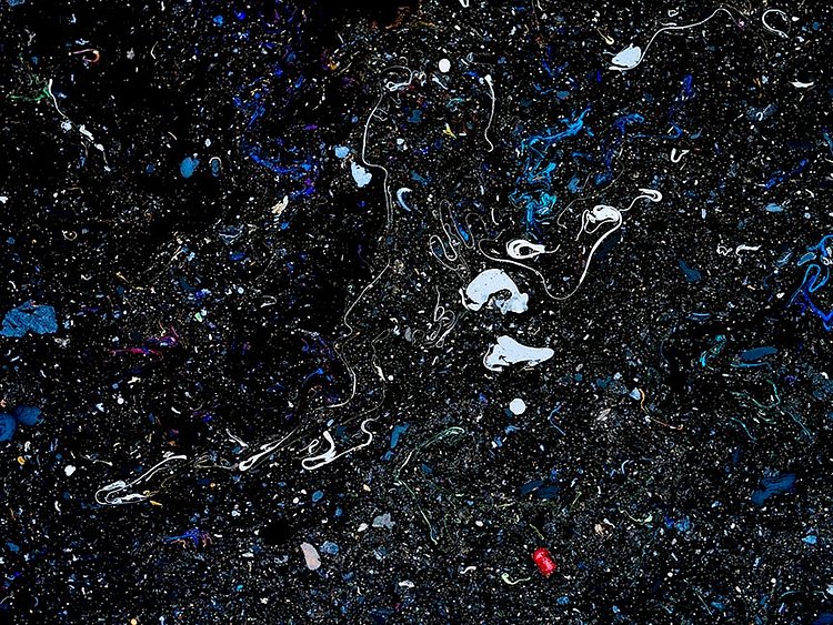 Gowanus — Benthesicyme