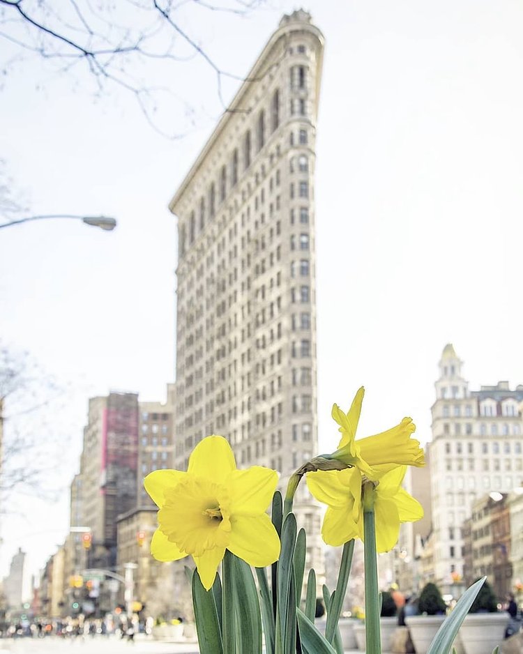 Flatiron Building, New York, New York.